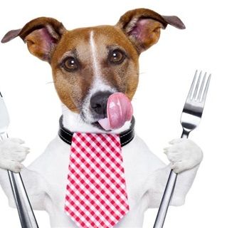 Voedingsadvies voor uw hond